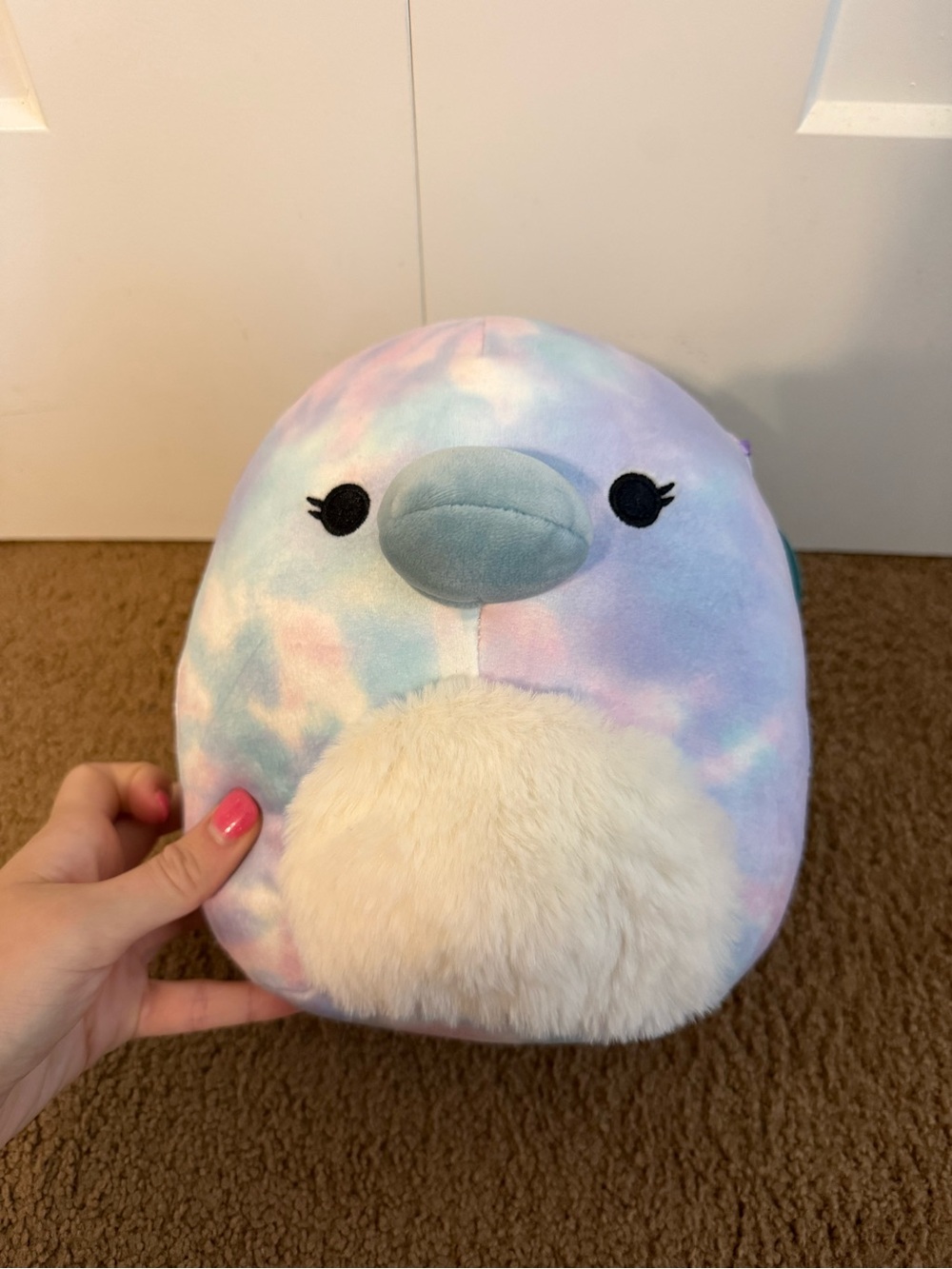 Mitch the platypus Squishmallow